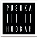 Логотип PUSHKA LOUNGE BAR